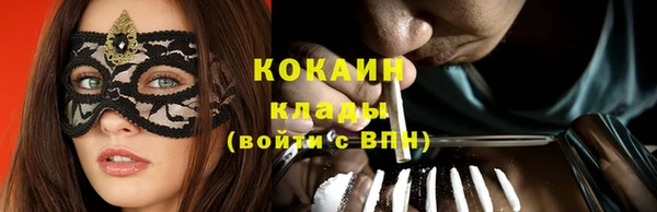 мдпв Каменка