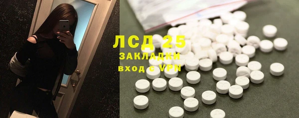 мдпв Каменка