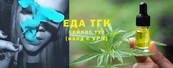 мдпв Каменка