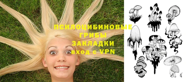 ALPHA-PVP Каменногорск