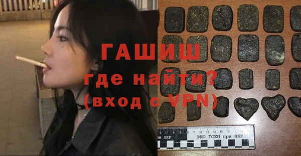 мдпв Каменка